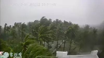 Taiwán se paraliza por el fuerte tifón Kong-rey, que deja un fallecido Taiwán se paraliza por el fuerte tifón Kong-rey, que deja un fallecido
