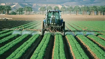 Agroindustria y pymes: La Rioja presentó en el Senado el aporte de la provincia al desarrollo económico local Agroindustria y pymes: La Rioja presentó en el Senado el aporte de la provincia al desarrollo económico local