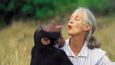 Jane Goodall. Jane Goodall.
