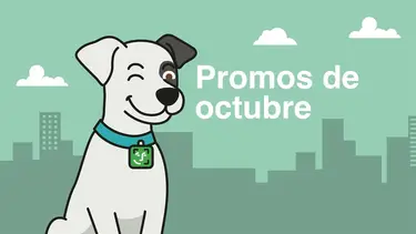 Descuentos Cuenta DNI en octubre 2025: cuándo se puede comprar con el 35% en carnicerías y beneficios por el Día de la Madre