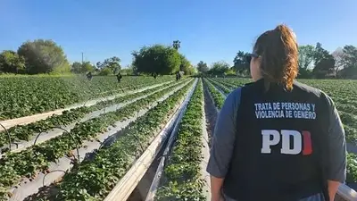Nuevo caso de explotación laboral en Santa Fe: 42 personas rescatadas en un campo de Arroyo Leyes Nuevo caso de explotación laboral en Santa Fe: 42 personas rescatadas en un campo de Arroyo Leyes
