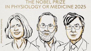Nobel de Medicina para tres científicos por un hallazgo clave sobre el sistema inmune
