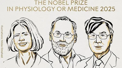 Nobel de Medicina para tres científicos por un hallazgo clave sobre el sistema inmune Nobel de Medicina para tres científicos por un hallazgo clave sobre el sistema inmune
