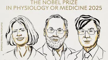 Nobel de Medicina para tres científicos por un hallazgo clave sobre el sistema inmune