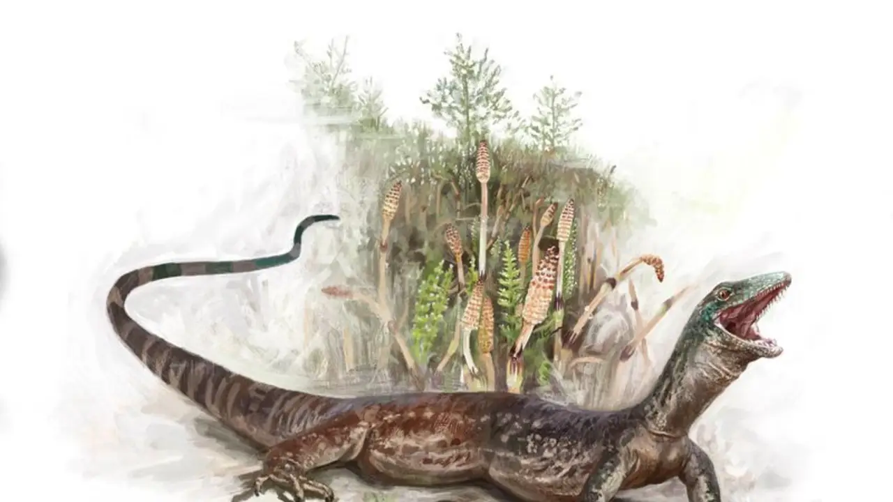 Un enigmático reptil del Jurásico parece una mezcla de serpiente y lagarto
