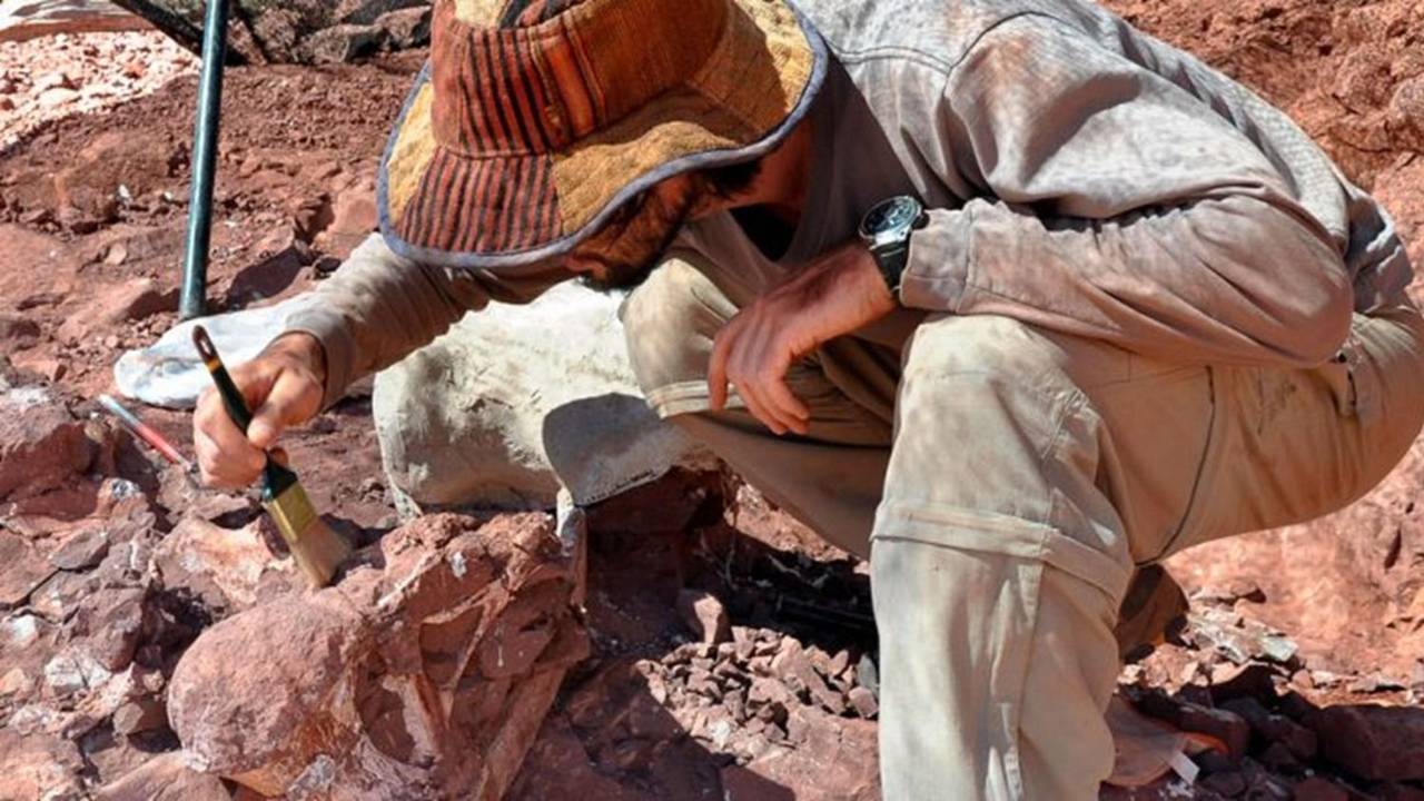 El Vitosaura colozacani revoluciona la paleontología argentina: descubren una nueva especie de dinosaurio en La Rioja