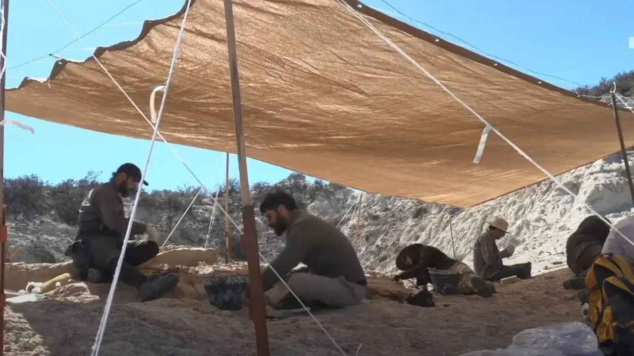CONICET. Paleontología.