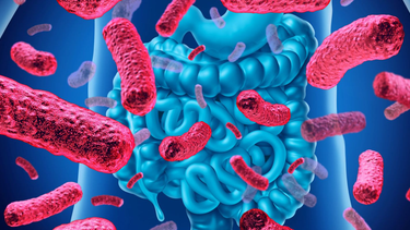 La bebida que mejora tu salud intestinal y protege tu corazón, según la ciencia