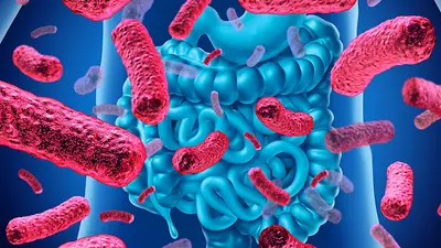 La bebida que mejora tu salud intestinal y protege tu corazón, según la ciencia La bebida que mejora tu salud intestinal y protege tu corazón, según la ciencia