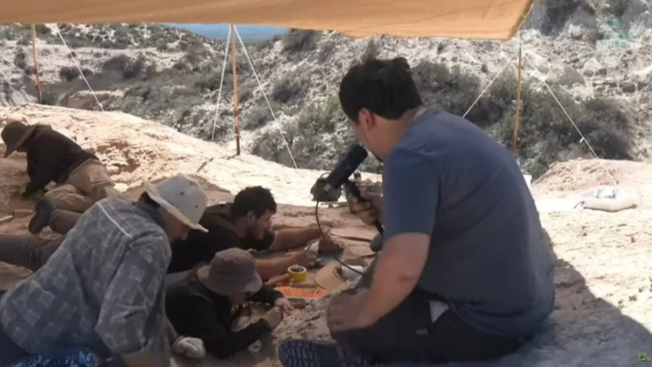 Qué hallaron en el streaming del CONICET. 