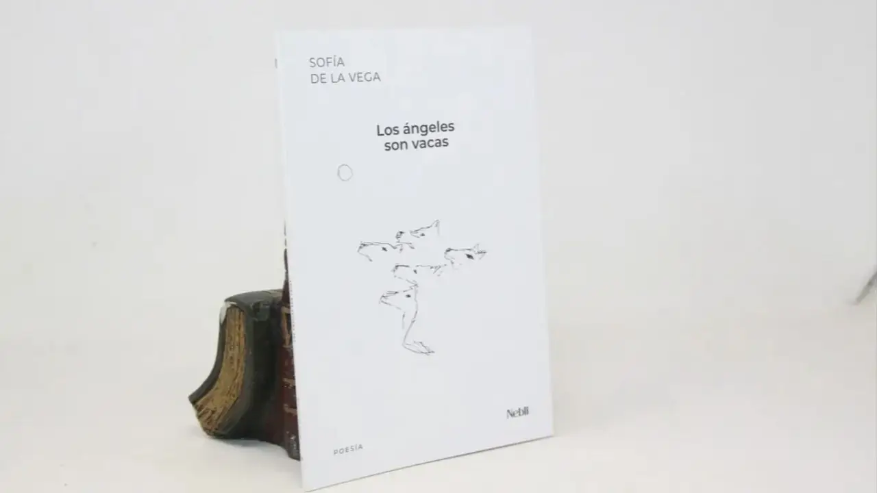 Reseña de Los Ángeles son Vacas de Sofía de la Vega.