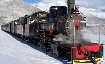 Es el tren más angosto de Argentina y se creó hace 100 años  | Turismo