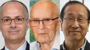Premio Nobel de Química para tres científicos que crearon estructuras moleculares