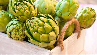 Receta de alcaucil: cómo cocinarlo y la manera correcta de comerlo