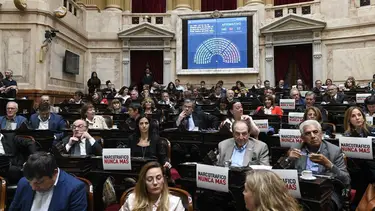 En una jornada picante, Diputados aprobó reforma de los DNU pero vuelve al Senado