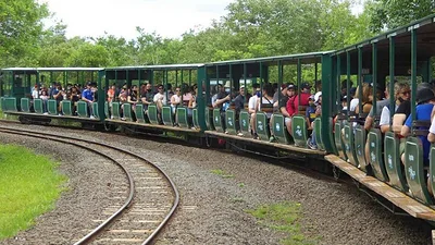 Tren Ecológico de la Selva Tren Ecológico de la Selva