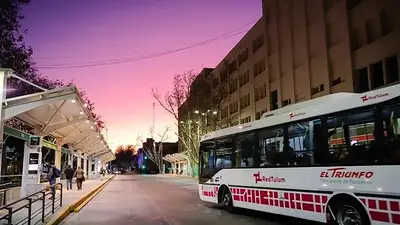 La ciudad Argentina con la red de colectivos más densa del país La ciudad Argentina con la red de colectivos más densa del país