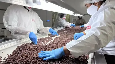 La Rioja amplía su tejido productivo: creció el número de empleadores formales pese a la crisis nacional La Rioja amplía su tejido productivo: creció el número de empleadores formales pese a la crisis nacional