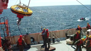 Arrancó la expedición del CONICET en Chubut y Río Negro: las especies que encontraron en los cañones submarinos