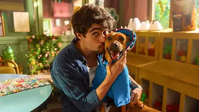 películas netflix películas netflix