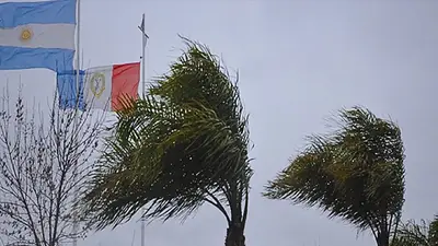 Arboles azotados por el viento Arboles azotados por el viento