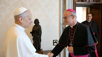 La Iglesia católica no ayuda a tiempo a las víctimas de abusos, según expertos del Vaticano La Iglesia católica no ayuda a tiempo a las víctimas de abusos, según expertos del Vaticano