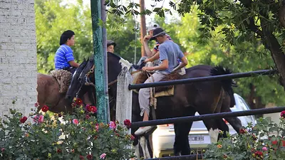 Cinco días de aventura en Buenos Aires: la escapada que combina naturaleza, gastronomía y cabalgata Cinco días de aventura en Buenos Aires: la escapada que combina naturaleza, gastronomía y cabalgata