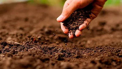 Formosa impulsó la capacitación de técnicos y profesionales agropecuarios para el desarrollo regional: todos los detalles Formosa impulsó la capacitación de técnicos y profesionales agropecuarios para el desarrollo regional: todos los detalles