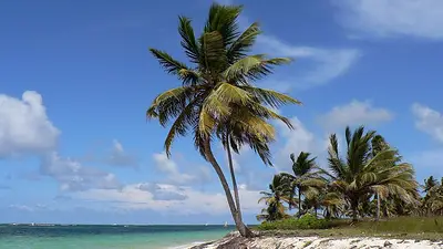 Punta Cana Punta Cana