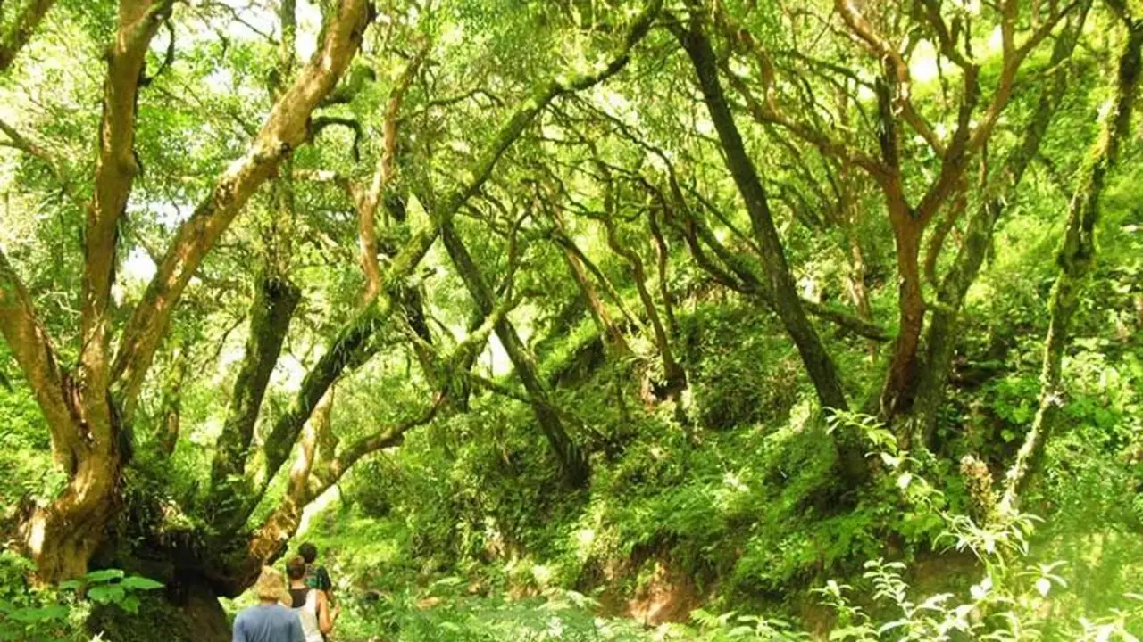 El refugio sin celular ni wifi en el corazón de las yungas jujeñas