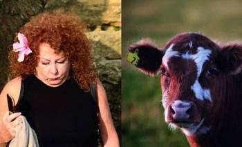 Un libro pone fin a las diferencias entre humanos y animales | Libros