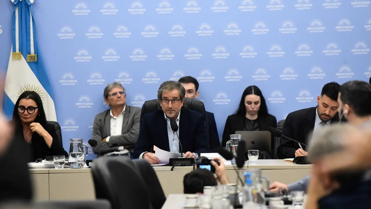 El Gobierno mandó a avisar a Diputados que tiene una ley Bases dos y otra ley Hojarasca