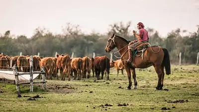 Aumenta 10% la prestación por desempleo de trabajadores rurales Aumenta 10% la prestación por desempleo de trabajadores rurales