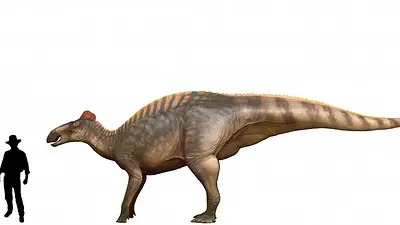 Las "momias" de dinosaurio de Wyoming revelan una sorpresa: pezuñas en los pies Las "momias" de dinosaurio de Wyoming revelan una sorpresa: pezuñas en los pies