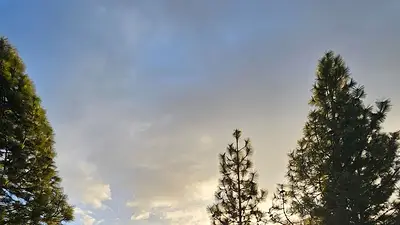 Domos Domos