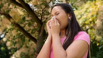 Cuáles son los alimentos que ayudan a aliviar la alergia primaveral. Cuáles son los alimentos que ayudan a aliviar la alergia primaveral.