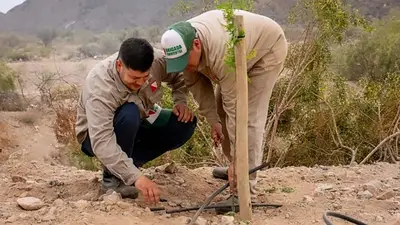 Participación y sustentabilidad: el Gobierno de La Rioja promueve la forestación y mejora ambiental en la región Participación y sustentabilidad: el Gobierno de La Rioja promueve la forestación y mejora ambiental en la región
