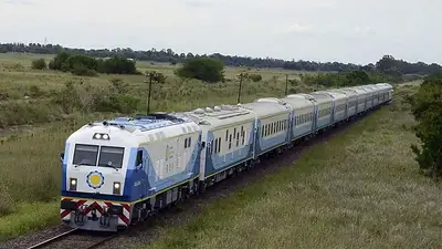 Trenes Trenes