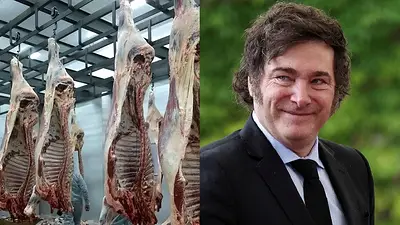 Frigorífico y Javier Milei Frigorífico y Javier Milei
