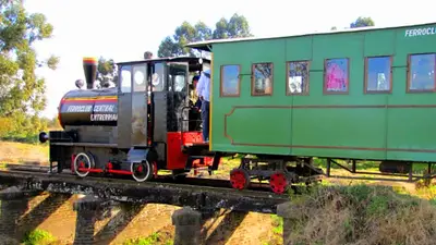 Trenes argentinos Trenes argentinos