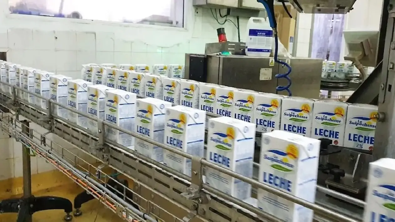 Una empresa láctea líder con la producción frenada de su planta en Suipacha en medio de la crisis de Milei | El Destape