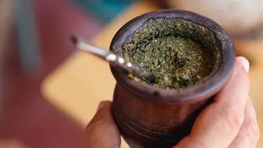 Científicos del CONICET convierten yerba mate usada en bioaceite valioso