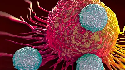Cáncer Cáncer