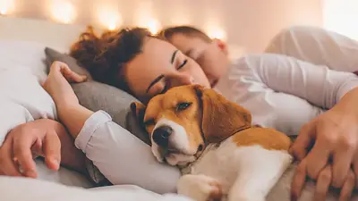Dormir con perros en la cama. Dormir con perros en la cama.