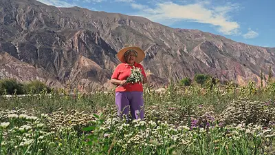 Es una localidad argentina y fue elegida como la mejor del mundo por su "entorno natural único": el lugar ideal para viajar Es una localidad argentina y fue elegida como la mejor del mundo por su "entorno natural único": el lugar ideal para viajar