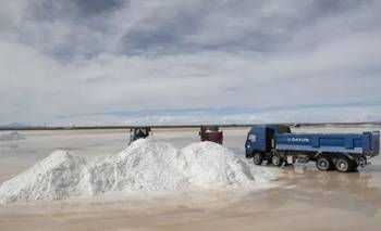 El RIGI y un mapeo de recursos al servicio de la seguridad nacional de Estados Unidos | Recursos naturales