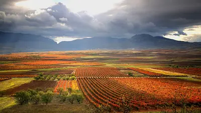 La Rioja avanza con una ley para limitar la compra de tierras rurales por parte de extranjeros: los detalles La Rioja avanza con una ley para limitar la compra de tierras rurales por parte de extranjeros: los detalles