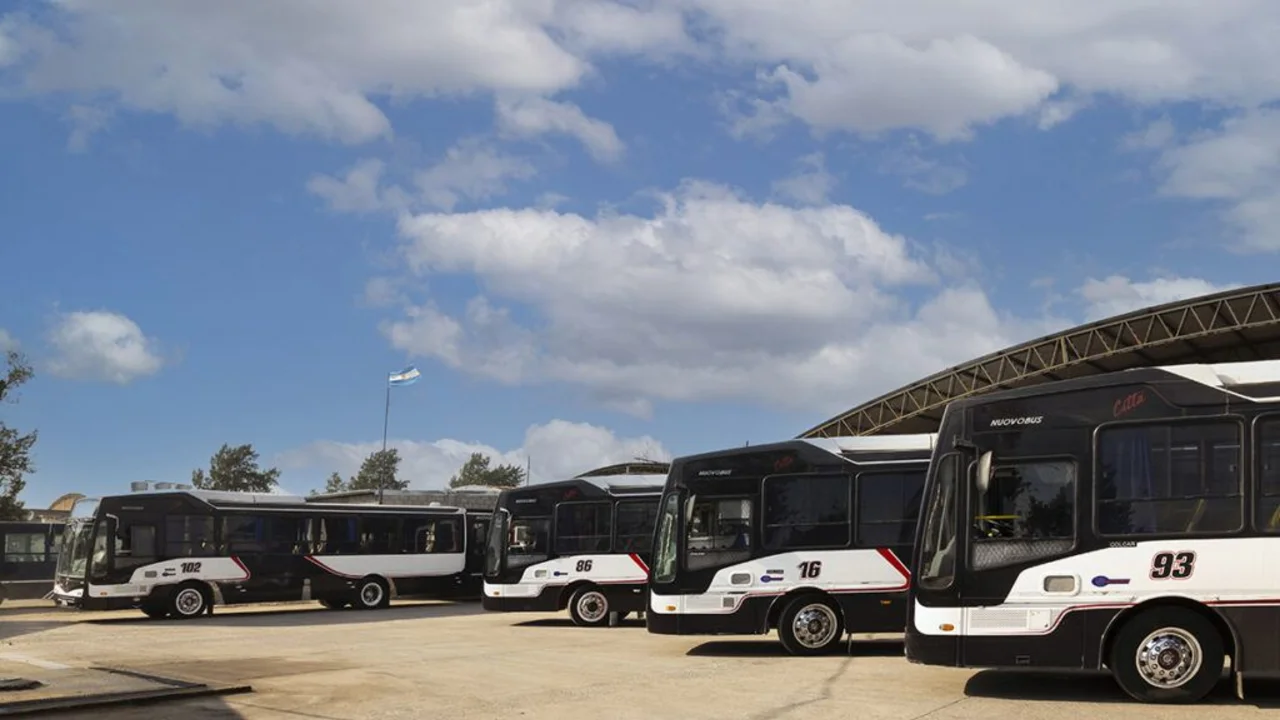 Colectivos