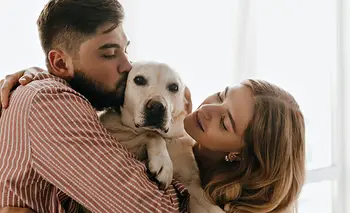 Cuáles son los errores más comunes de las personas con sus mascotas | Animales