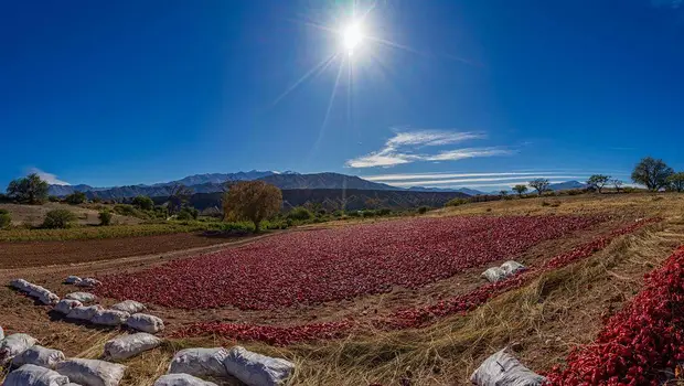 El pueblito salteño escondido en las alturas que se tiñe de rojo con el cambio de estación | Escapadas